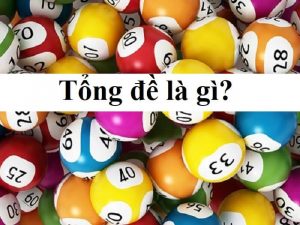 Tổng đề là gì?